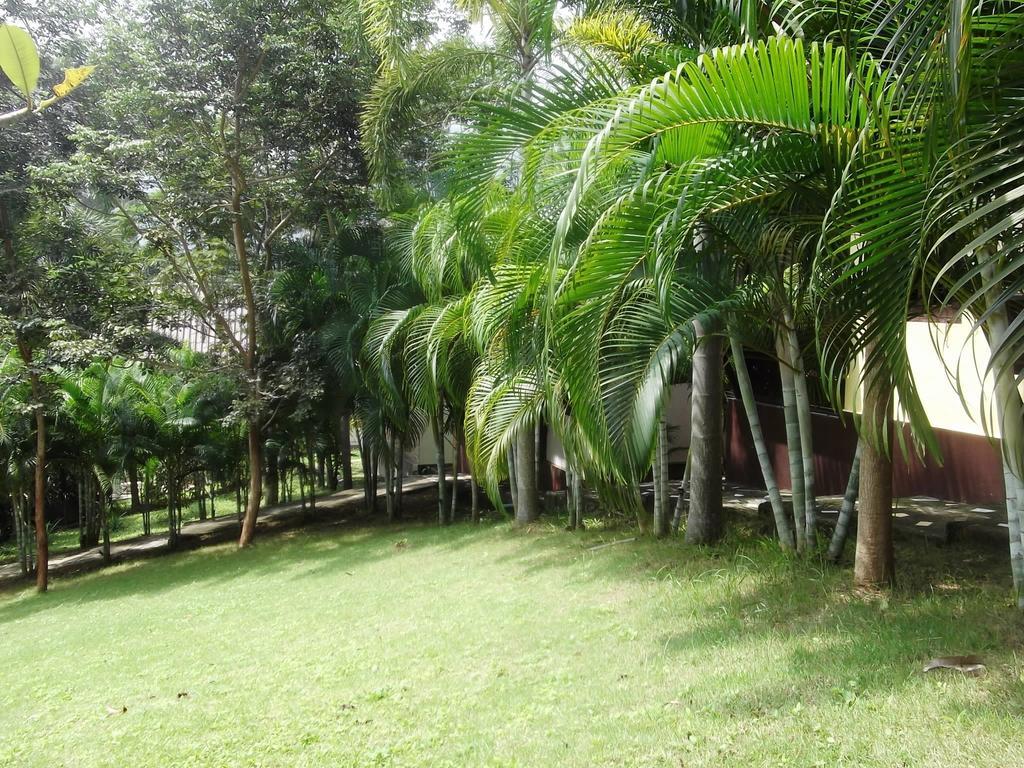 Wilai Villa Lamai Maret Cameră foto