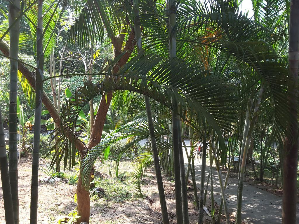 Wilai Villa Lamai Maret Exterior foto