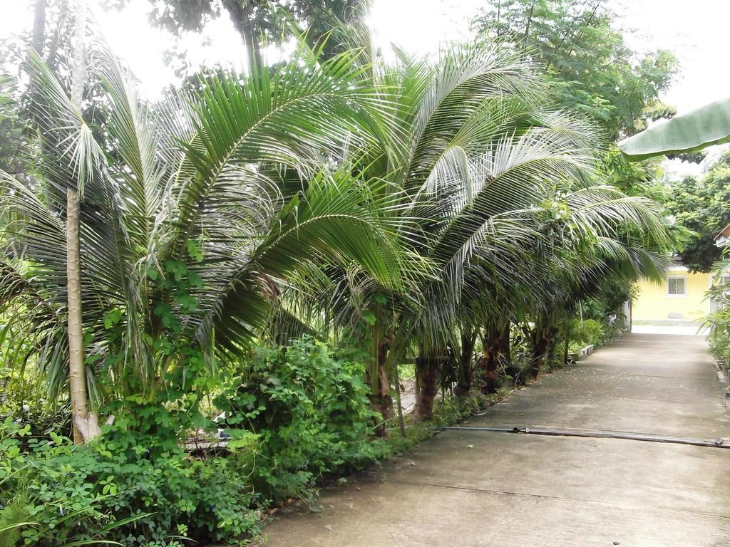 Wilai Villa Lamai Maret Cameră foto